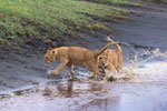 Igitt - Wasser!