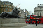 Auf Löwen-Safari in London II