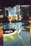 Diese Bilder sind aus Collagen entstanden. Einmal die touristischen Highlites Floridas und ...