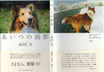 依田仁美著（短歌＋写真）『あいつの面影』〔愛犬喪失の慟哭〕2000円＋税