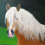 "Haflinger" - Acryl auf Leinwand - 40 x 40 cm