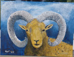 "Chrysomeles" (der Widder mit dem Goldenen Vlies) Acryl auf LW - 40 x 30 cm
