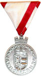 Medaille für Gemeinderat der Landeshauptstadt Silber