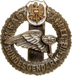 Gendarmerie-Kraftfahrer Bronze