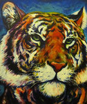tigre street-art