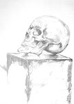 Totenschädel Totenkopf auf einem Sockel Bleistift auf Zeichenpapier Schraffuren 