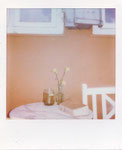 Blumen in Vase und Buch Övelgönne Hamburg Altona Polaroidfoto Colro i-Type Film Sofortbild Sofortbildfotografie quadratisches Format