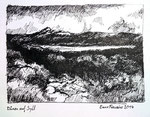 Dünen auf Sylt, Federzeichnung, 2014, Enno Franzius