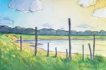 Ostseestrand Darß Ostesse Aquarellmalerei Aquarell mit Kugelschreiber grün ocker braun graublau gelb
