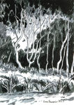 Baumstämme auf dem Darß Weststrand grauer und schwarzer Faserstift Filzstift