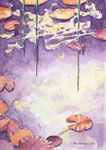 Seerosen, Aquarellbild, Aquarellmalerei, Aquarell, A4, 2023, Enno Franzius