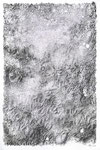 Sans titre, 18/03/2022.  Feutre micron 0.03 sur fond de stylo bille. 40cm x 60cm. Prix : 500 euros