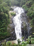 Wanderung in den Cameron Highlands