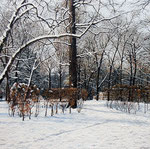Nevicata nel Parco 06 (zona tempietto) - dim. 40x40 cm.