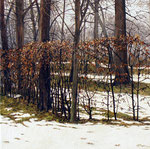 Nevicata nel Parco Ducale 12 - dim. 30x30 cm.