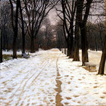 Nevicata nel Parco Ducale 05 - dim. 40x40 cm.
