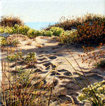 Versilia dune fiorite 05 - dim. 20x20 cm.