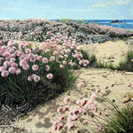 Spiaggia dell'aglio fiorito 02 40x40cm