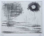 Radierung/Kaltnadel 13 x 16 cm