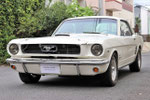 1966 Ford pony  302EG 5Speed  