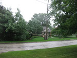 ach so wir hatten gestern einen kleinen Sturm und ein Gewitter, dabei hat es den Baum vom Nachbarn umgehauen.