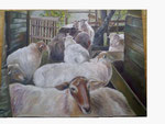Schafe in La Madrid - 60,5 x 80,5 - Öl / Holz - 2013