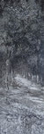 Sortie forestière 33x70 🙂