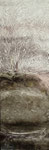 prendre racine 25x60