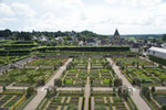 Les bledes, les pastanagues fan jardins increïbles