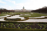 Die erste der wechselnden Bepflanzungen mit Blumen im  Schlosspark Charlottenburg im März. Foto: Helga Karl