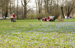 Aprilsonne im Schlosspark Charlottenburg in Berlin. Menschen sitzen auf der Wiese mit blauen Blumen. Foto: Helga Karl