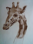 Giraffe, Rötel, 40x30, 1968