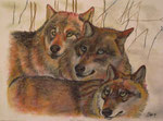 The pack, Pastell, 30x40, 2014