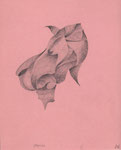 Spaniel, Bleistift, 20x15, 1966