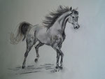Trabendes Pferd 1, Pastell, 30x40, 1978