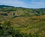 Portugal Vallée du Douro