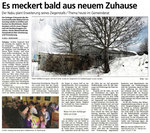 10. Februar 2015, Süd West Presse