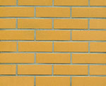 F200, gelb,-glatt, unbesandet  F140, creme-weiß-classic, flach-genarbt, unbesandet