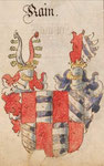 Wappen der Rain als Freiherren sowie Herren von Sommeregg in Kärnten (Siebmachers Wapppenbuch) 