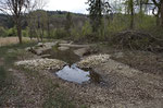Neues Amphibien-Laichgewässer in einem Auwaldgebiet, Kanton Bern