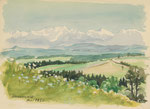 793 Schwarzwald (1950), 15x10 cm, Aquarell