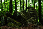 Geheimnisvolle Steinfiguren im Odenwald