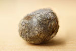 Kein Meteorit, ein Gallenstein, selber produziert (12mm)