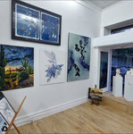 Vue de l'exposition de groupe "Natures Sauvages" gallerie Out Of The Blue à Lille 2024 / 2025