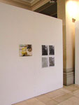 Sister Image, Ecole des beaux-arts de Nancy