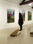 Biennale de la jeune création 2014, la graineterie avec romain Métivier