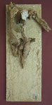 "ten pieces of a human body"  2006  Skulptur aus 10 Treibholzfunden (Pyrenäen) auf Leinwand mit Ton und Getreide montiert  147 x 52 cm