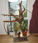 "der Kindsraub" 2005  Wurzel, Makulatur, auf Stahlzirkel  170 x 170 cm