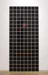 Portrait(Mr.Hayashi-Dark Brown), lambda print, plexiglass, caulking agent,188.5cm×83.5cm×0.6cm, 2016
