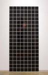 Portrait(Mr.Hayashi-Dark Brown), lambda print, plexiglass, caulking agent,188.5cm×83.5cm×0.6cm, 2016